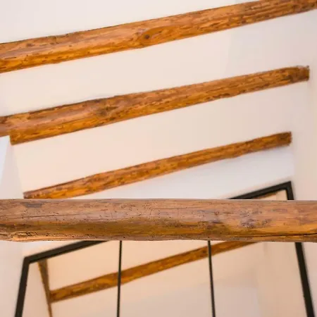 Azotea De La Catedral *